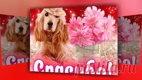 Спасибо вам,мои друзья!