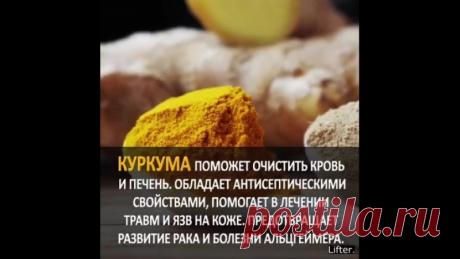 Серая Галина