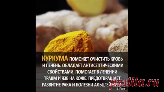 Серая Галина