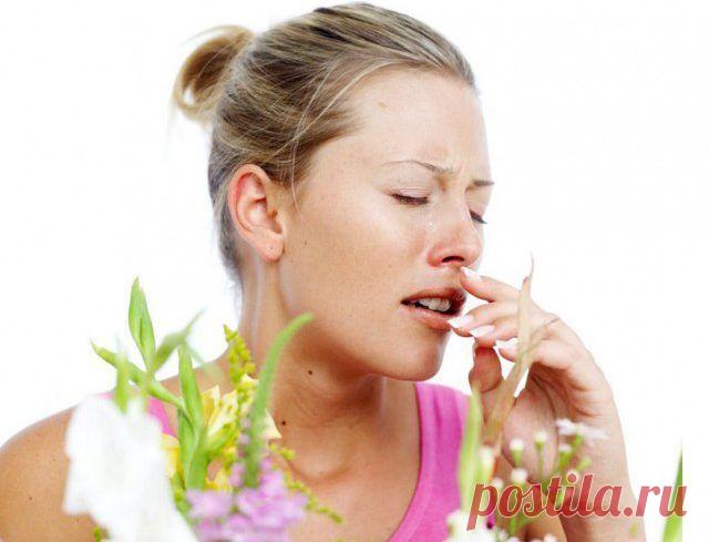 Народные средства лечения аллергии 
Аллергическая реакция приносит человеку немало страданий. Заложенность носа, слезотечение, кожный зуд, высыпания и покраснение кожи – одни из самых распространенных симптомов этого очень неприятного …