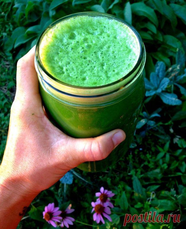 1430896938_content_the-juice-of-burdock-in-folk-medicine__econet_ru.jpg (650×801)