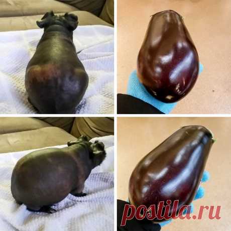 Найдите 10 отличий
