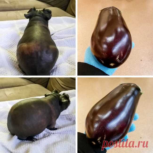 Найдите 10 отличий