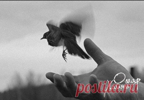 Учись отпускать - в этом секрет счастья.