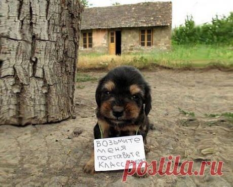 Ты,найдешься,,,,,,,, Ты,обязательно найдешься,,,,,,,,,,,