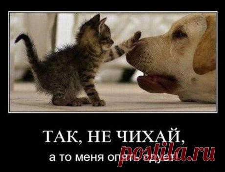 Лилия Советкина | ВКонтакте