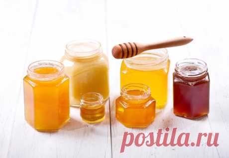 Пять сортов меда, которые стоит попробовать каждому - KitchenMag.ru