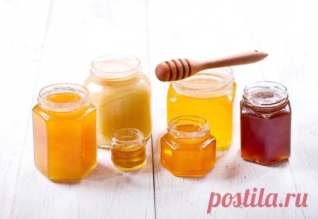 Пять сортов меда, которые стоит попробовать каждому - KitchenMag.ru