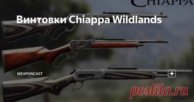 Винтовки Chiappa Wildlands Chiappa Firearms на оружейной выставке SHOT Show 2020 анонсировали линейку винтовок Wildlands с ручной перезарядкой подвижной спусковой скобой Генри.
На данный момент линейка включает серию 1892 в трёх исполнениях под патрон .44 Magnum и одну 1886-ую под .45-70 Government.
Все винтовки оснащаются крепёжной планкой picatinny на стволе, совмещённой с мушкой для установки прицелов типа 