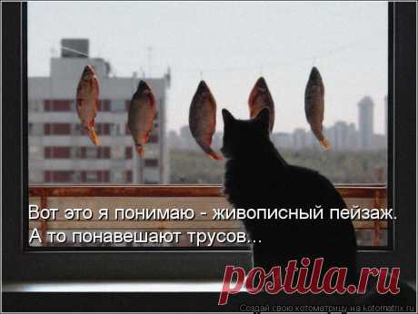 Котоматрица: Лучшие за декабрь 2012