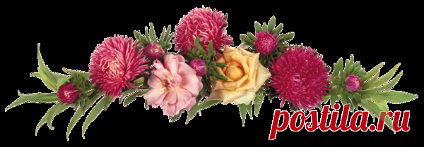 
Осенняя изысканная гамма:
Бархоток жёлтых, красных астр букет
Оправлен мною в золотую раму,—
Как будто нежный Осени портрет.

Сияние исходит от букета
С запечатлённой прелестью тепла.
О, сколько чувства, благодати, света
В них Осень безмятежная вплела!

Застыв в коричневой массивной вазе,
Изящны, хрупки и нежны они,
К себе приковывая взгляд наш сразу,
В осенние нас перебросив дни.

В них красота, повенчанная с грустью,
Нам наполняет чистотой сердца,
И так светло, прекрасно, это чувство,
Как дар