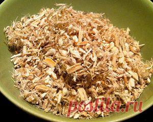 Отвар при бронхите и простуде