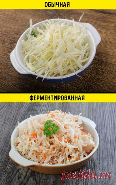 Польза для организма от ферментированных продуктов