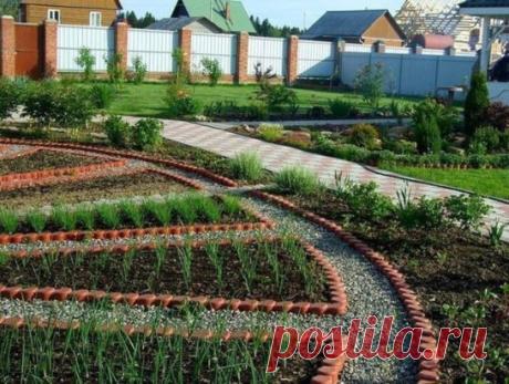 Долго искала схему овощной клумбы, чтобы все культуры находились в выгодном для них соседстве. Вот нашла, может кому пригодится:
1. Огурцы
2. Укроп
3. Свекла листовая
4. Лук-порей
5. Салат
6. Сельдерей
7. Капуста (разные сорта)
8. Горох
9. Красная свекла
10. Петрушка
11. Помидоры
12. Настурция, календула, бархатцы
13. Лук-севок
14. Морковь
15. Листовая капуста
16. Брюссельская капуста
17. Руккола
18. Фасоль спаржевая карликовая
19. Цуккини
20. Подсолнечники
21. Редис
22. Чеснок
23. Зеленый лук
