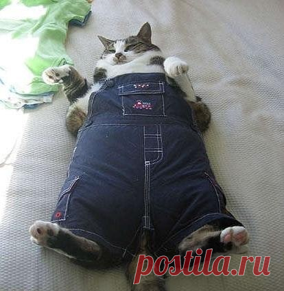 Дневник Хобб