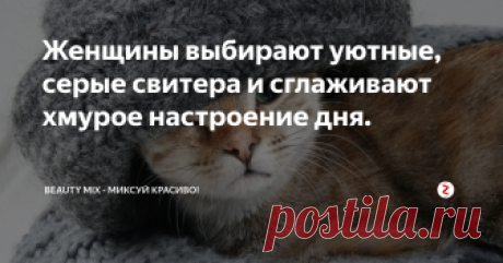 Женщины выбирают уютные, серые свитера и сглаживают хмурое настроение дня. 17 способов носить серый свитер, универсальный и элегантный. Фото.
Осенняя мода.
Серый цвет является универсальным, нейтральным и элегантным для ношения в межсезонье. Простой классический цвет легко сочетается с цветными принтами.
В холодные дни серый идеально подходит для сочетания любых предметов одежды, что придает естественный и красивый вид.