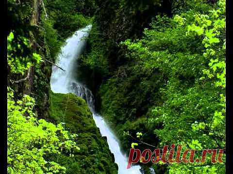 Фредерик Франсуа Шопен (Frederic Francois Chopin) — Нежность | Newpix.ru - позитивный интернет-журнал