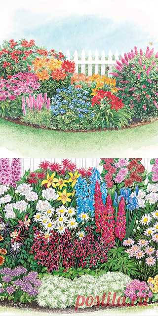 Flower Bulbs, Shrubs, Ornamental Grasses, Groundcover, Plants Discount, Plant Garden and Perennials - MI Bulb, MichiganBulb.com