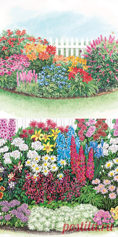 Flower Bulbs, Shrubs, Ornamental Grasses, Groundcover, Plants Discount, Plant Garden and Perennials - MI Bulb, MichiganBulb.com