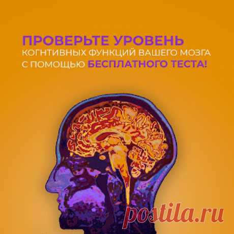 РЕЦЕПТЫ ДАЧНИКА: Диагностика когнитивных способностей
