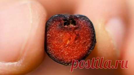 А вот и самая полезная ягода в мире! Ищу ее на всех прилавках… — Полезные советы