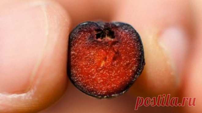 А вот и самая полезная ягода в мире! Ищу ее на всех прилавках… — Полезные советы