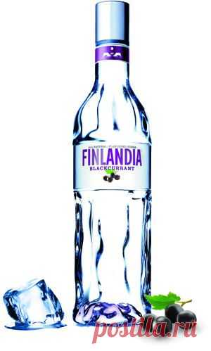 (+1) тема - О бренде... Finlandia Blackcurrant | Культура пития