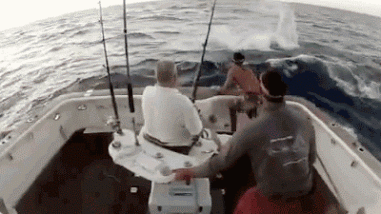 Ловись рыбка большая и......
