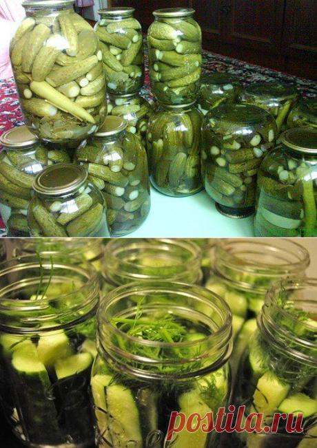 8 вариантов заготовок огурцов на зиму | Мамам, женщинам, бабушкам и очень любознательным.