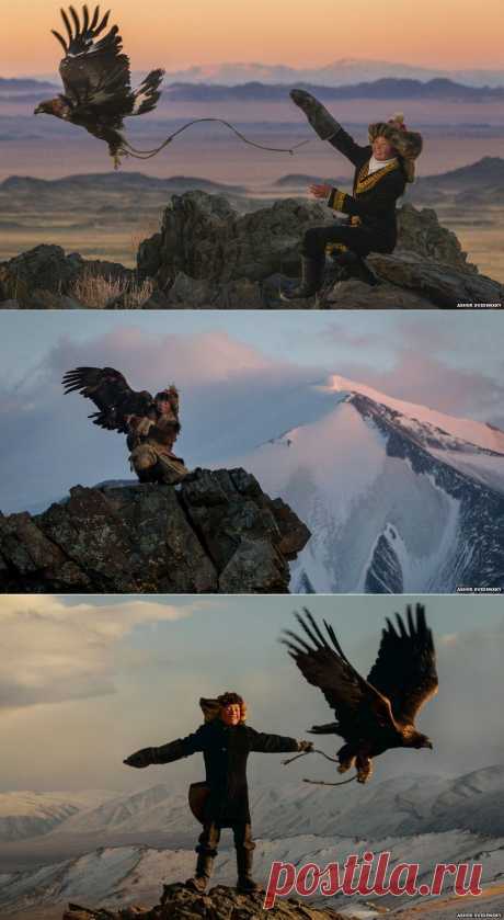BBC News - A 13-year-old eagle huntress in Mongolia