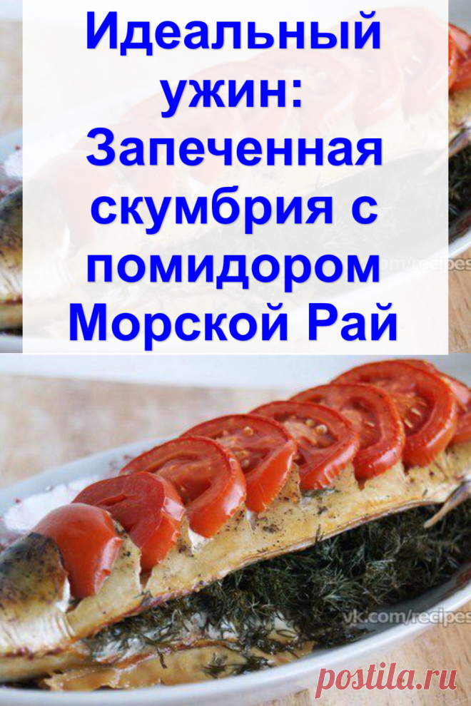 Идеальный ужин: Запеченная скумбрия с помидором «Морской Рай»