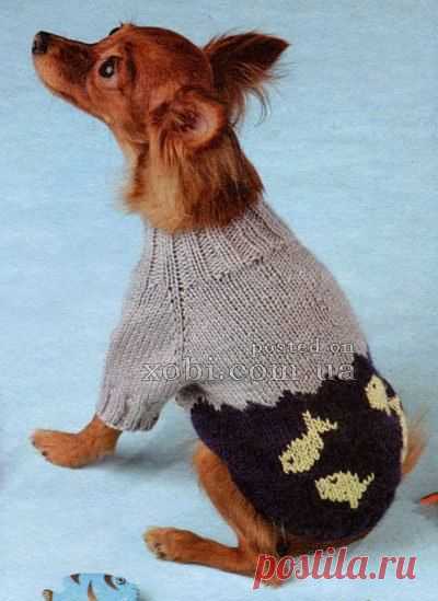 Свитер для собачки. - Для животных
