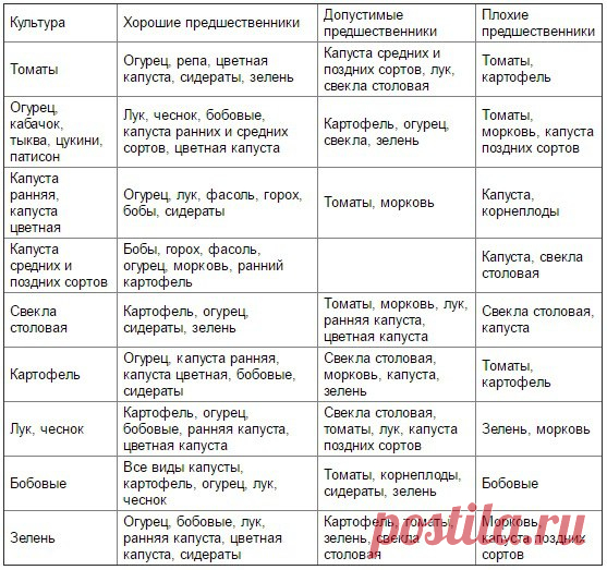 Таблица чередования посевов овощей в огороде

Из севооборота овощей можно извлечь выгоду. Это и защита растений от вредителей и болезней, и сохранение плодородия почвы. Но недостаточно просто менять овощи местами от сезона к сезону, нужно учитывать, какие предшественники наиболее полезны для каждой овощной культуры.

При севообороте соблюдаем правило: не сеять одну и ту же культуру второй год на старое место. Это относится и к представителям одного и того же семейства куль...