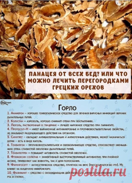 (24) Одноклассники