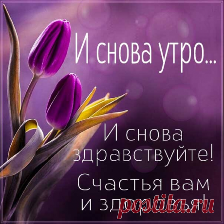 Ваш мобильный пропел вам мелодию доброго утра и вы отключили его не оставляя на потом. Заглянули в мессенджер и увидели смешную гифку от друга – вот и первая на сегодня улыбка на вашем лице