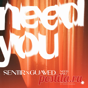 sentir, Guaved - Need You (Extended) | 4DJsonline.com