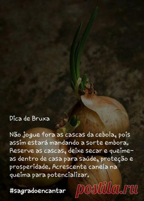 (15) Pinterest