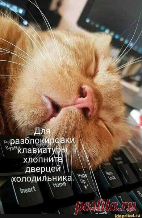 Лучшие шутки и мемы из Сети (15 фото)