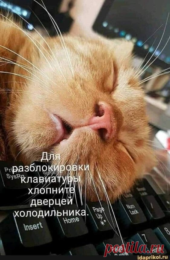 Лучшие шутки и мемы из Сети (15 фото)