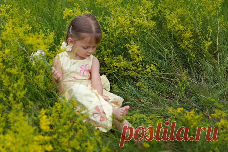 Фото девочка, ребёнок, маргарита