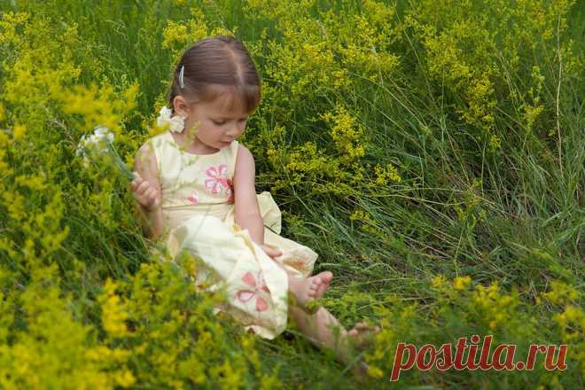 Фото девочка, ребёнок, маргарита