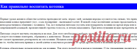 Воспитание и особенности поведения кошек