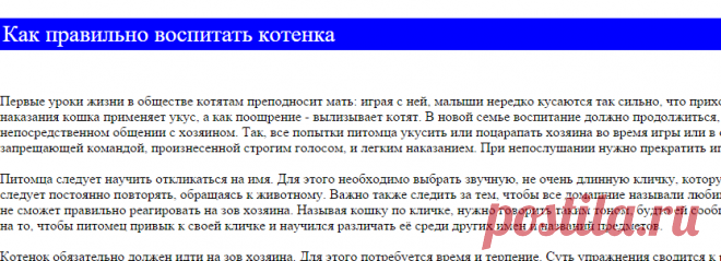 Воспитание и особенности поведения кошек