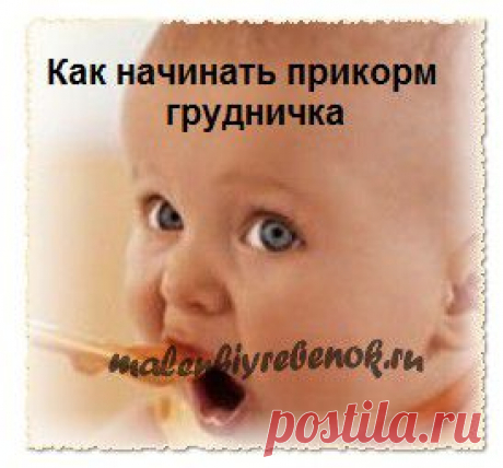 Как начинать прикорм грудничка, чтобы ваш малыш кушал с удовольствием.