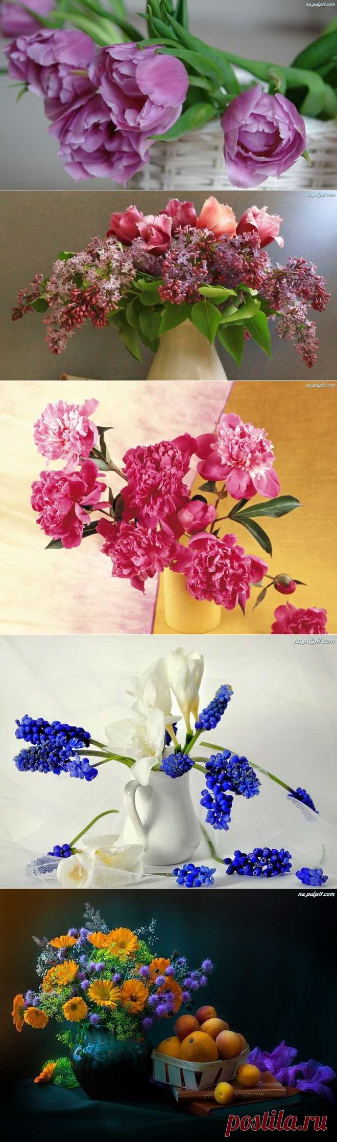 Обои на раб. стол от разных авторов 2.