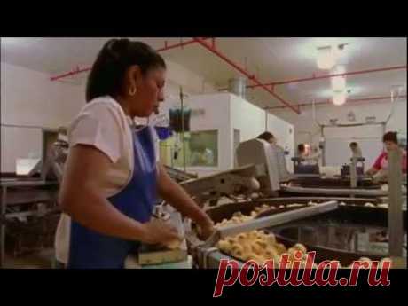 Корпорация «Еда» / Food, Inc. (Роберт Кеннер /Robert Kenner)‎ «Вы никогда больше не посмотрите на свой ужин прежним взглядом»