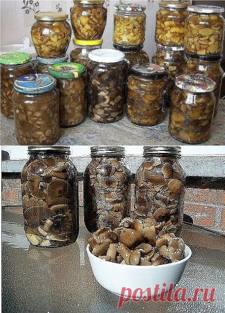 Одноклассники