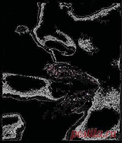 С давних времен человечество обращалось к лечебным средствам из царства природы - целебным растениям. Еще за 2000 лет до нашей эры были известны лечебные свойства эфирных масел. Интересная особенность эфирных масел - многообразие возможностей их применения в медицине, психологии, косметологии, парфюмерии, быту.Современная ароматерапия - это профилактический, оздоровительный, полностью натуральный способ поддержания хорошей психоэмоциональной и физической формы,