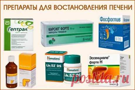 все препараты для лечения печени: 2 тыс изображений найдено в Яндекс Картинках
