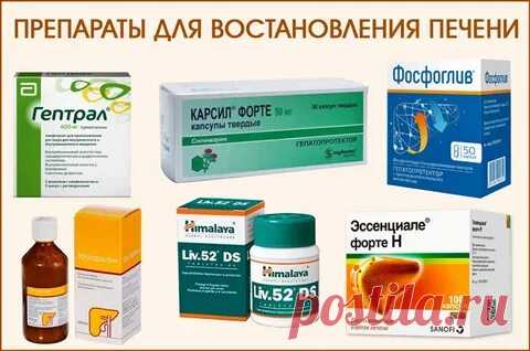 все препараты для лечения печени: 2 тыс изображений найдено в Яндекс Картинках
